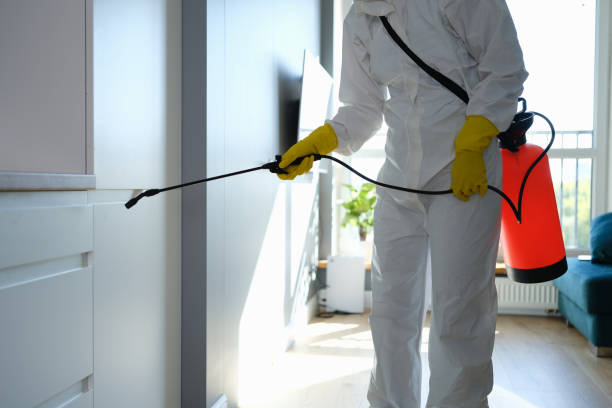 Best Residential Mold Remediation in Parole, MD
